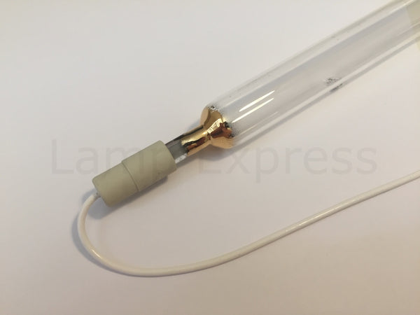 UV Lamp